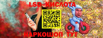 apvp Гатчина