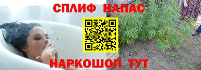 каннабис Гай