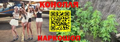 apvp Гатчина