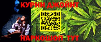 apvp Гатчина