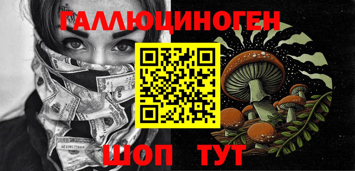 Псилоцибиновые грибы GOLDEN TEACHER  Вход с VPN  Нерюнгри  Псилоцибиновые грибы Psilocybe 